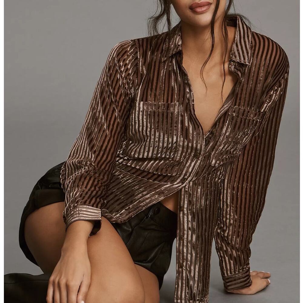 Anthropologie Pilcro Sheer Long-Sleeve Brown Velvet Burnout Shirt Size 2X